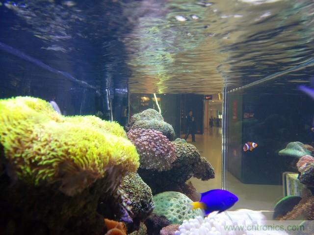 Hi-Fi革命!vivo X6 Plus深度評測:夠快才暢快