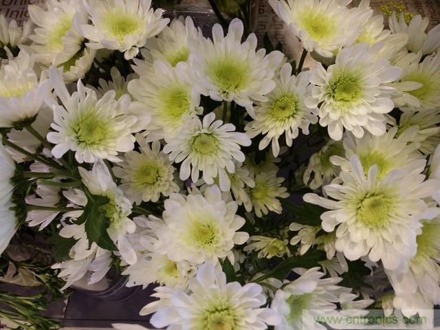 Hi-Fi革命!vivo X6 Plus深度評測:夠快才暢快