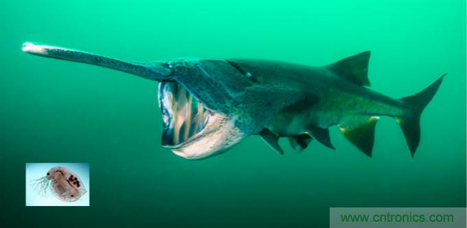 檢測不到信號，是加點噪聲？還是濾除噪聲？