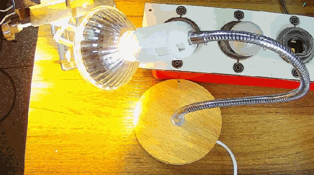 電燈泡內通有交流電,為什么看不到燈泡在閃爍?