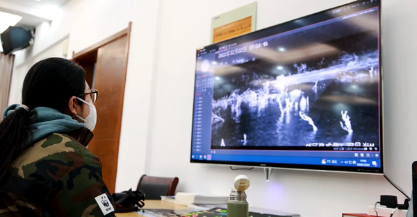 世界濕地日:海康威視攜手一個地球自然基金會,在上海守護這個重要“驛站” 世界濕地日:海康威視攜手一個地球自然基金會,在上海守護這個重要“驛站”