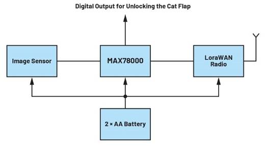 卷積神經網絡的硬件轉換：什么是機器學習？——第三部分