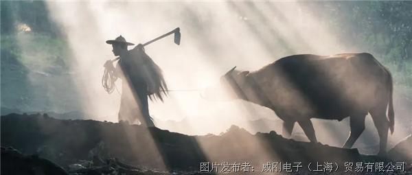 智慧農(nóng)業(yè)大有可為,“數(shù)字種地”更輕松 智慧農(nóng)業(yè)大有可為,“數(shù)字種地”更輕松