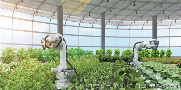 智慧農(nóng)業(yè)大有可為,“數(shù)字種地”更輕松 智慧農(nóng)業(yè)大有可為,“數(shù)字種地”更輕松