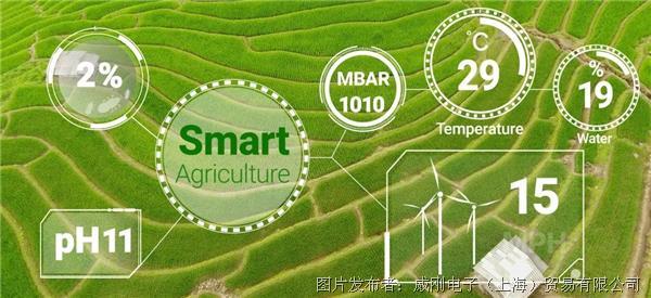 智慧農(nóng)業(yè)大有可為,“數(shù)字種地”更輕松 智慧農(nóng)業(yè)大有可為,“數(shù)字種地”更輕松